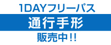 1DAYフリーパス通行手形